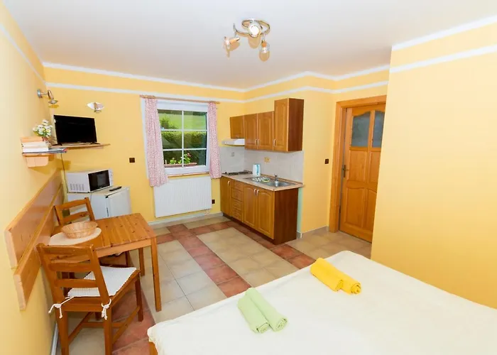 Apartmán U Jezera černá *